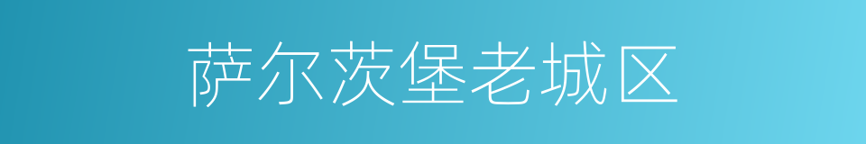 萨尔茨堡老城区的同义词