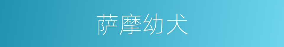 萨摩幼犬的同义词