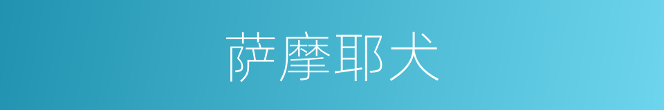 萨摩耶犬的同义词