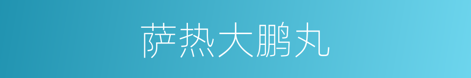 萨热大鹏丸的同义词