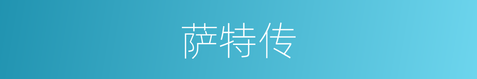 萨特传的同义词