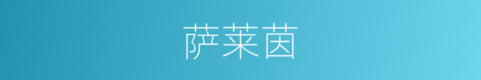 萨莱茵的同义词