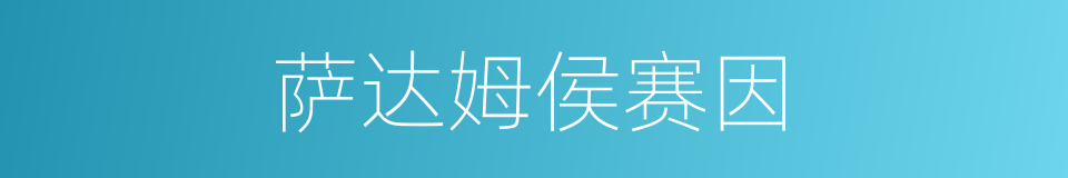 萨达姆侯赛因的同义词
