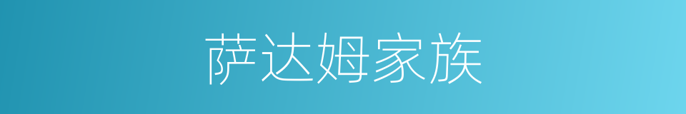 萨达姆家族的同义词