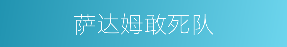 萨达姆敢死队的同义词