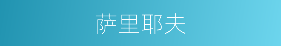 萨里耶夫的同义词