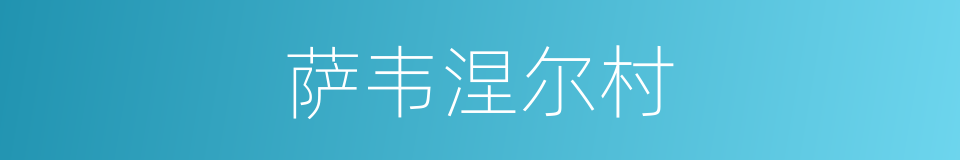 萨韦涅尔村的同义词