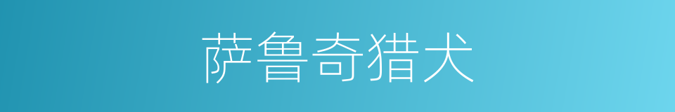 萨鲁奇猎犬的同义词