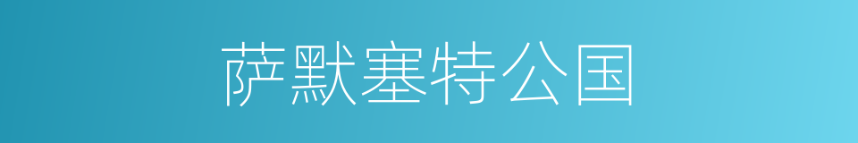 萨默塞特公国的同义词