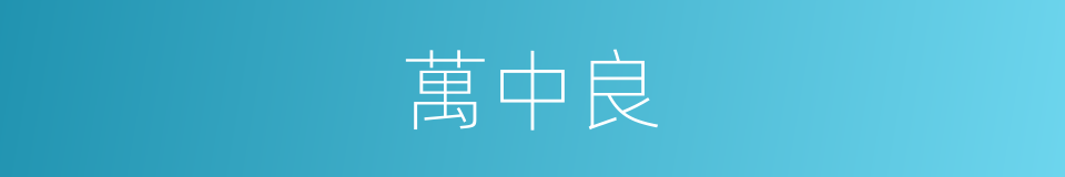 萬中良的同義詞