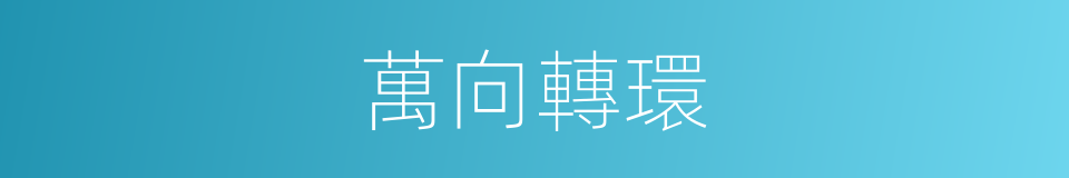 萬向轉環的同義詞