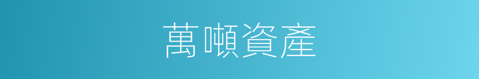 萬噸資產的同義詞