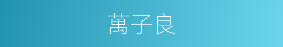 萬子良的同義詞