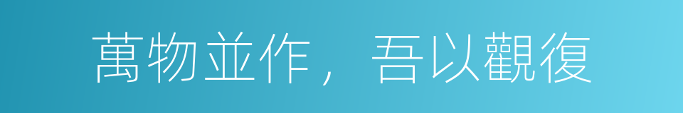 萬物並作，吾以觀復的同義詞