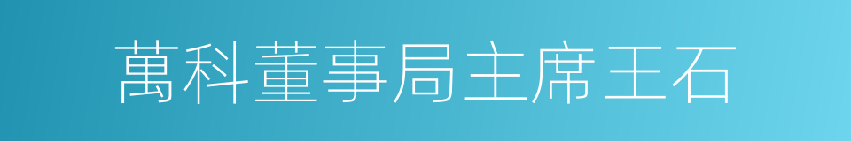 萬科董事局主席王石的同義詞