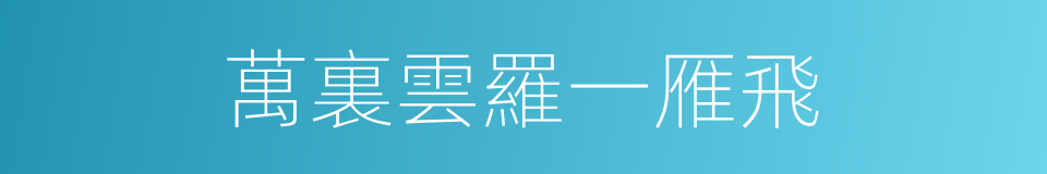 萬裏雲羅一雁飛的同義詞