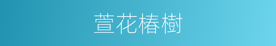 萱花椿樹的意思