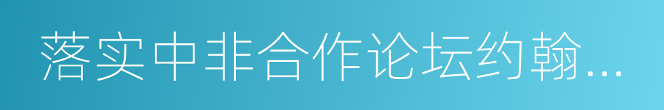 落实中非合作论坛约翰内斯堡峰会成果的同义词