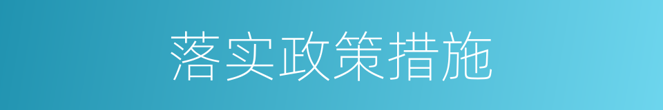 落实政策措施的同义词