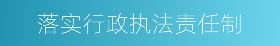 落实行政执法责任制的同义词