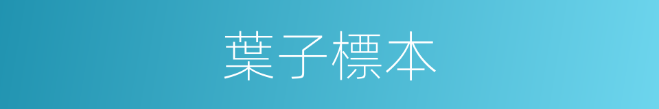 葉子標本的同義詞
