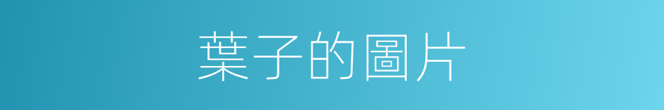 葉子的圖片的同義詞