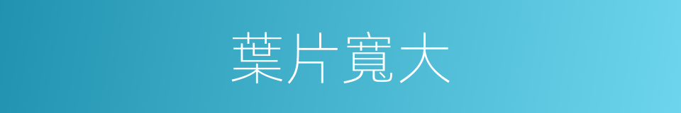 葉片寬大的同義詞