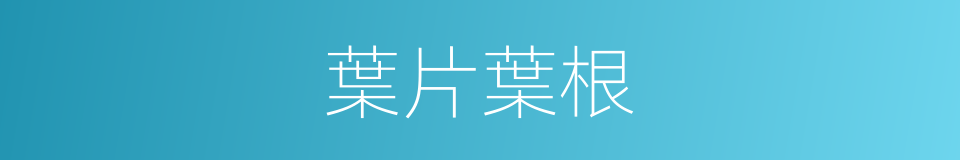 葉片葉根的同義詞