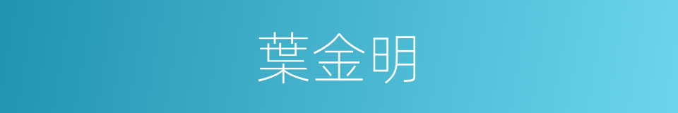 葉金明的同義詞