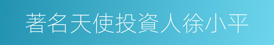 著名天使投資人徐小平的同義詞