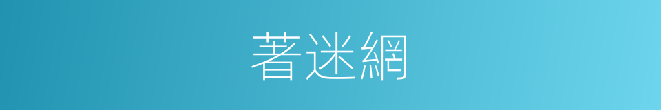 著迷網的同義詞