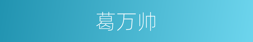 葛万帅的同义词