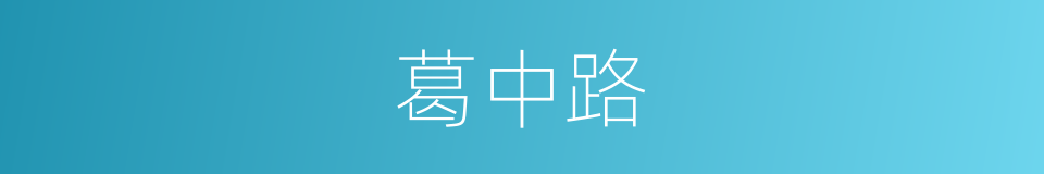 葛中路的同义词