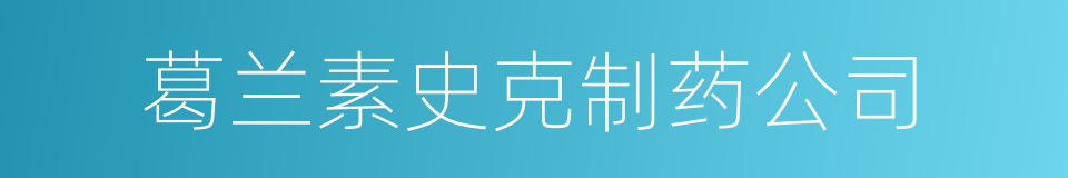 葛兰素史克制药公司的同义词