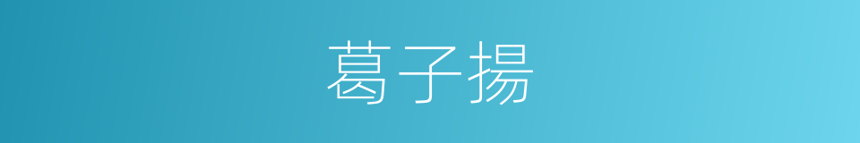 葛子揚的同義詞