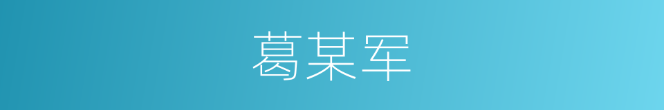 葛某军的同义词