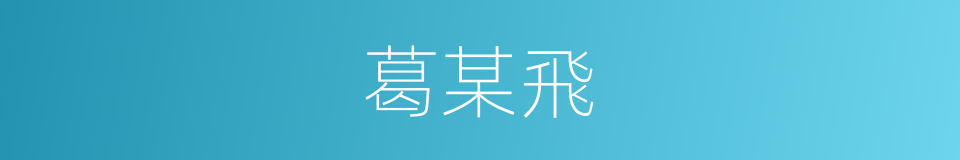 葛某飛的同義詞