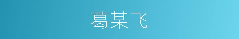 葛某飞的同义词