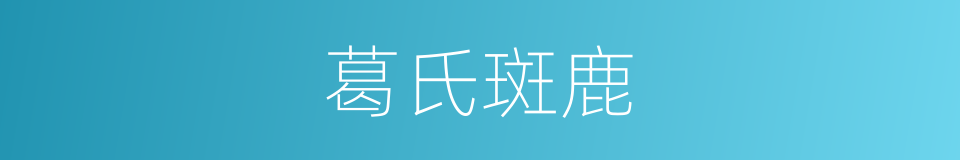 葛氏斑鹿的同义词