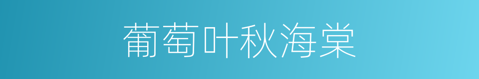 葡萄叶秋海棠的同义词