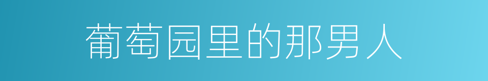 葡萄园里的那男人的同义词
