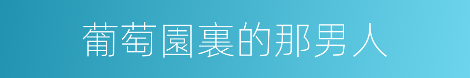 葡萄園裏的那男人的同義詞