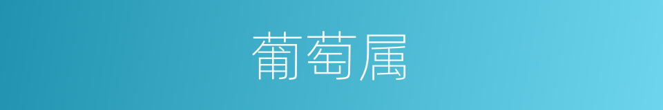 葡萄属的同义词