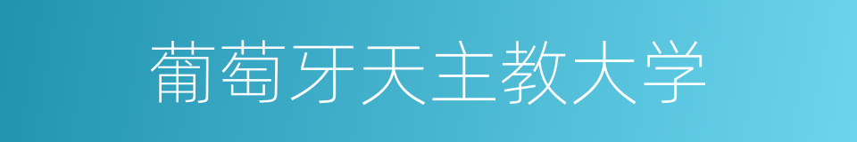 葡萄牙天主教大学的同义词