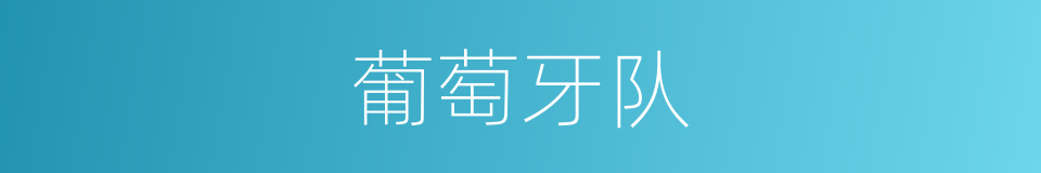 葡萄牙队的同义词