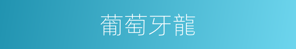 葡萄牙龍的意思