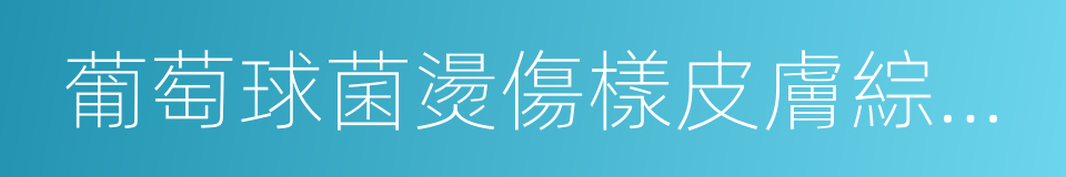 葡萄球菌燙傷樣皮膚綜合征的同義詞