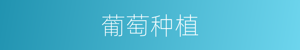 葡萄种植的同义词