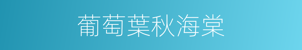 葡萄葉秋海棠的同義詞