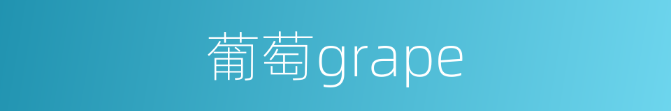 葡萄grape的同义词